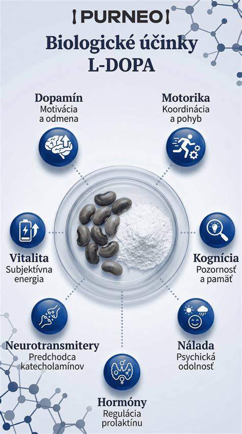 Dopamínové okruhy sociálneho mozgu