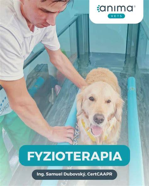 Fyzioterapia elektroterapia hydroterapia Komárno