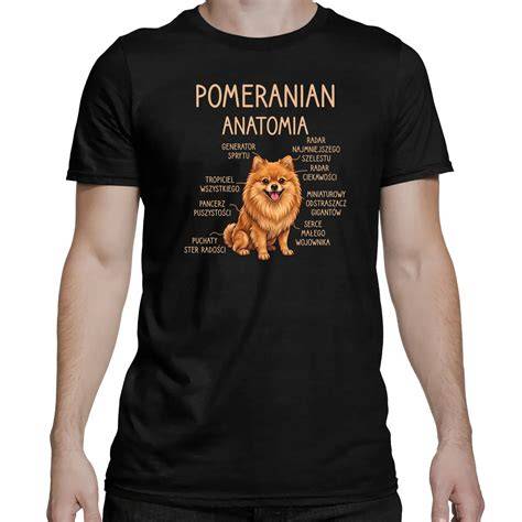 Anatómia myokardiálneho mostíka LAD
