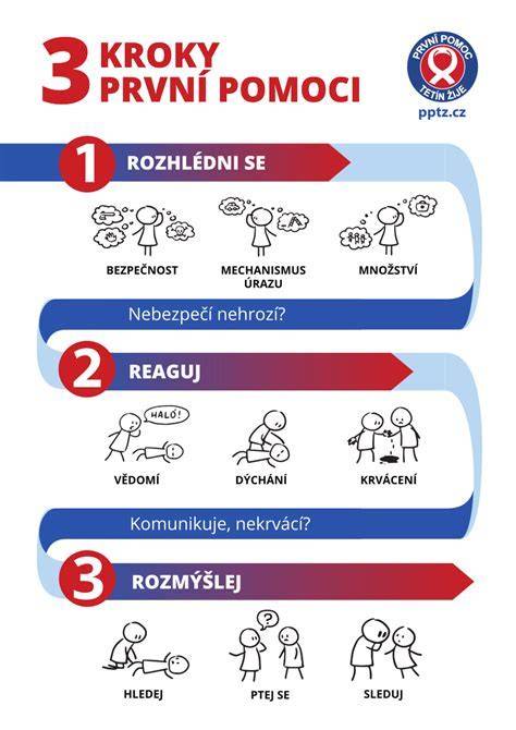 Opatrovník a súdny dohľad