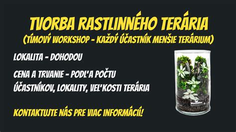 Vrstvy rastlinného terária s bonsajom